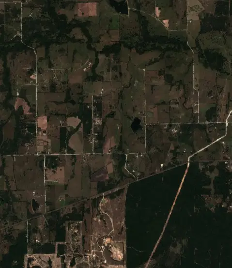 After — Walker County (Sentinel-2, 2026-10-22)