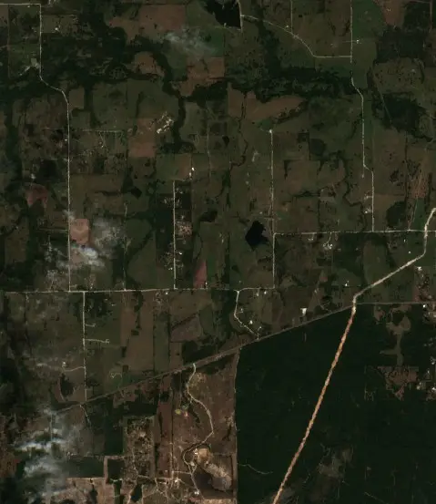 Before — Walker County (Sentinel-2, 2026-10-07)