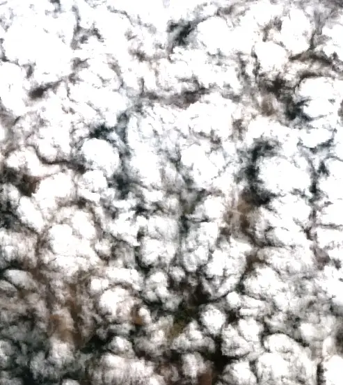 After —  (Sentinel-2, 2026-09-09)