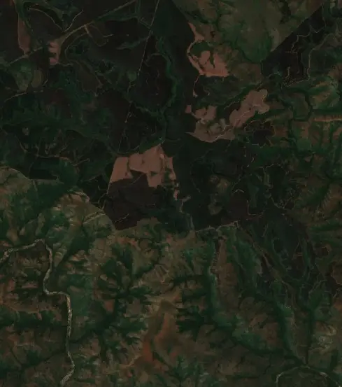 After —  (Sentinel-2, 2026-10-11)