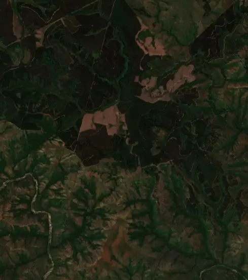 Before —  (Sentinel-2, 2026-10-09)