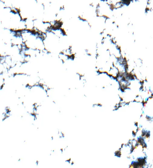 After — Modimolle Local Municipality (Sentinel-2, 2026-09-17)