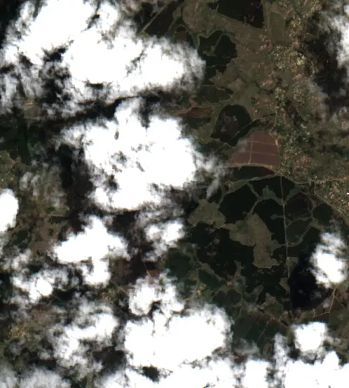 After — Albert Luthuli Local Municipality (Sentinel-2, 2026-10-04)