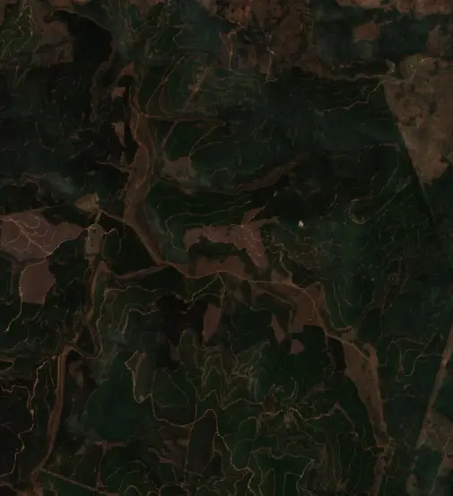 Before —  (Sentinel-2, 2026-09-04)