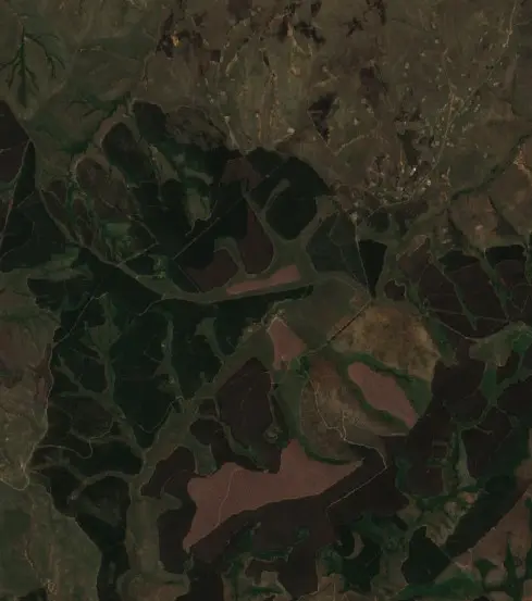 After — Ulundi Local Municipality (Sentinel-2, 2026-10-11)