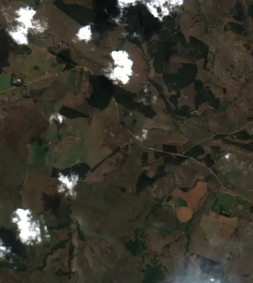 After — Mkhondo Local Municipality (Sentinel-2, 2026-09-21)