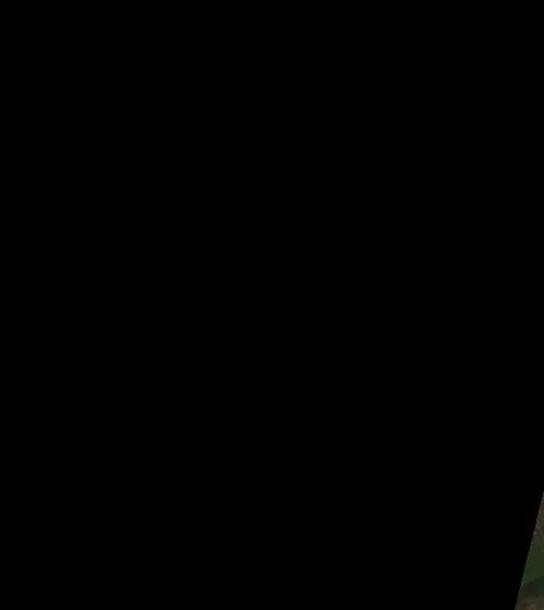Before —  (Sentinel-2, 2026-10-16)