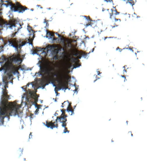 After —  (Sentinel-2, 2026-09-17)