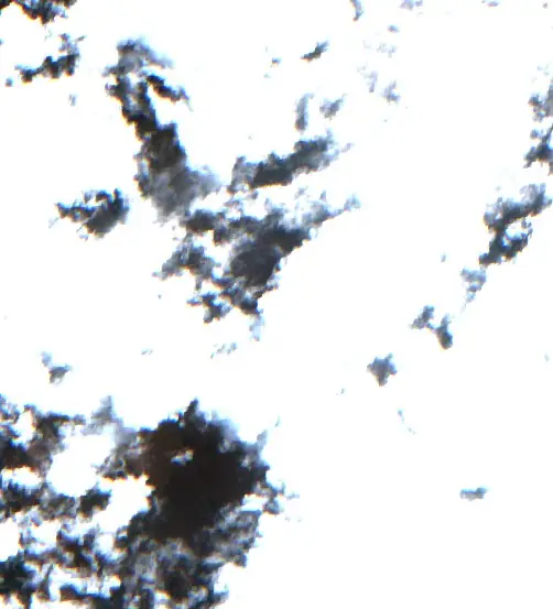 After — Thembisile Hani Local Municipality (Sentinel-2, 2026-09-17)