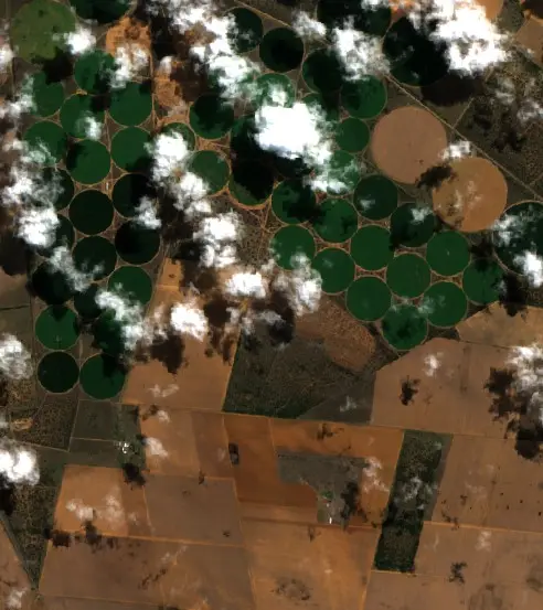 After — Tswelopele Local Municipality (Sentinel-2, 2026-09-15)