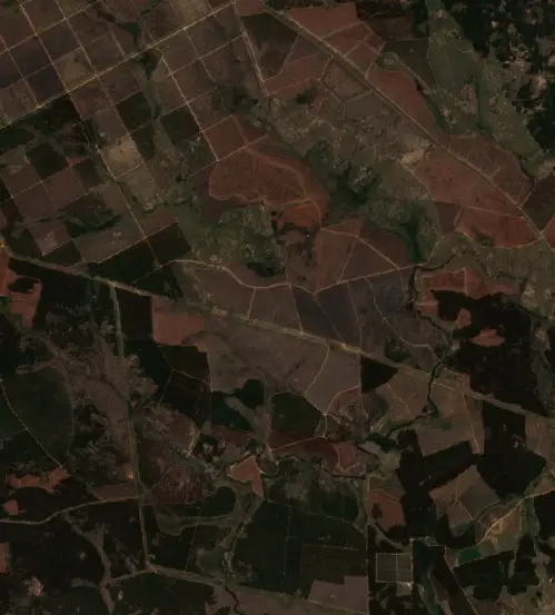 After — Msukaligwa (Sentinel-2, 2026-10-11)