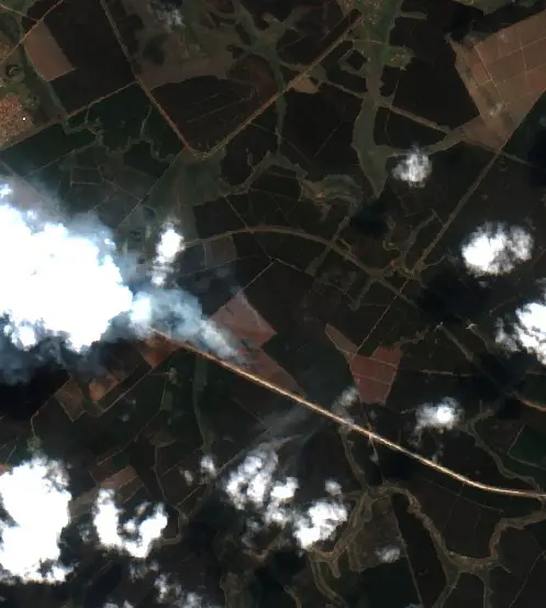 After — Mkhondo Local Municipality (Sentinel-2, 2026-09-24)