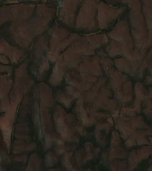 Before —  (Sentinel-2, 2026-08-25)